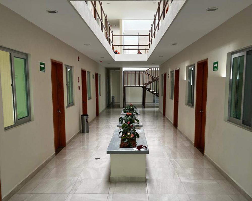 Image link